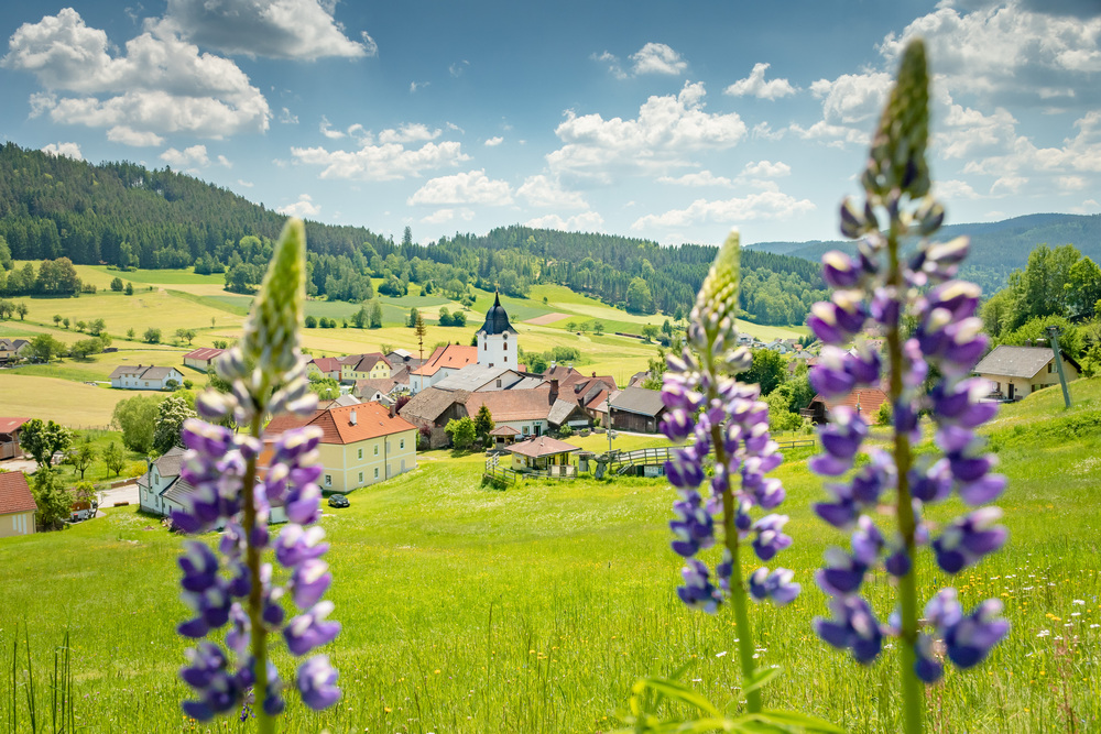 Panoramablick Lainsitztal